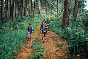 BIB: 
                            <button type="button" onclick="openModal(25653105)" class="btn btn-primary btn-sm float-right btn-popup" data-toggle="modal" data-target=".modal-high-quality">
                        <i class="fas fa-shopping-cart"></i> Add to Cart
                    </button>
                                            <button type="button" onclick="isThisMe(25653105, true)" class="btn btn-success btn-sm float-right btn-popup btn-isme hidden" data-toggle="tooltip" data-placement="bottom" title="นี่คือรูปของคุณใช่ไหม คลิกที่นี่เพื่อเอาเข้าอัลบั้ม">
                        <i class="fas fa-plus"></i> Add to album
                    </button>
                    <button type="button" onclick="isThisMe(25653105, false)" class="btn btn-warning btn-sm float-right btn-popup btn-isnotme hidden">
                        <i class="fas fa-ban"></i> Remove from album
                    </button>